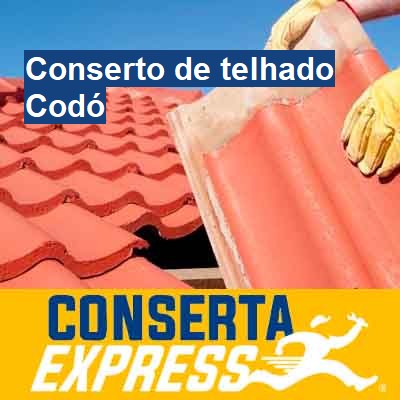 Conserto de telhado-em-codó
