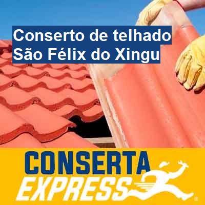 Conserto de telhado-em-são-félix-do-xingu