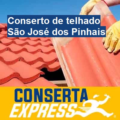 Conserto de telhado-em-são-josé-dos-pinhais