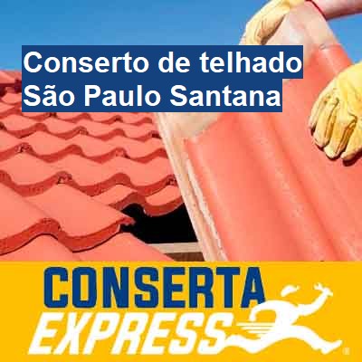 Conserto de telhado-em-são-paulo-santana