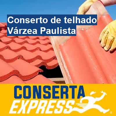 Conserto de telhado-em-várzea-paulista