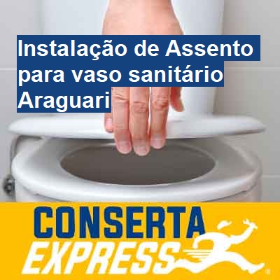 Instalação de Assento para vaso sanitário-em-araguari
