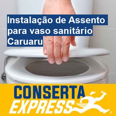 Instalação de Assento para vaso sanitário-em-caruaru