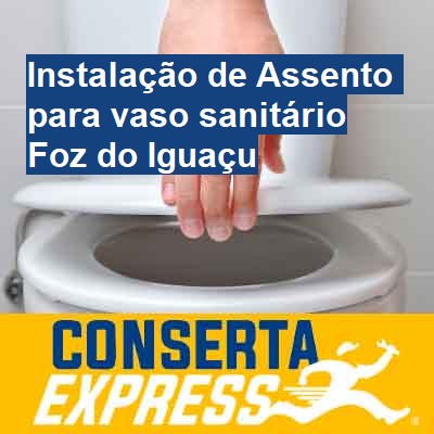 Instalação de Assento para vaso sanitário-em-foz-do-iguaçu