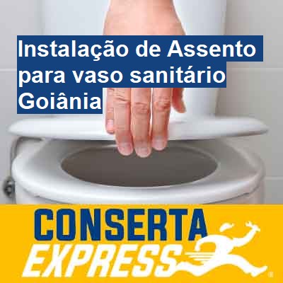Instalação de Assento para vaso sanitário-em-goiânia