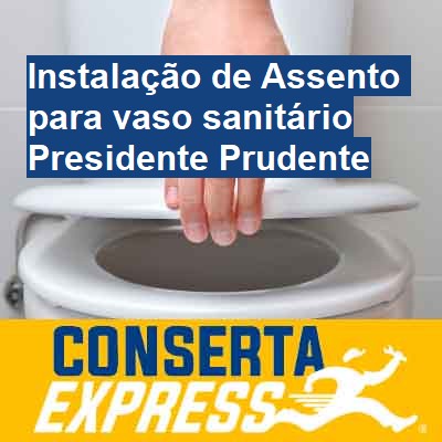 Instalação de Assento para vaso sanitário-em-presidente-prudente