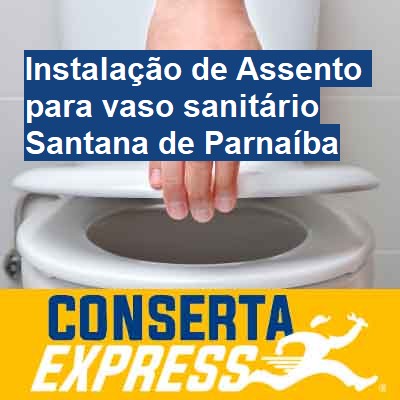 Instalação de Assento para vaso sanitário-em-santana-de-parnaíba
