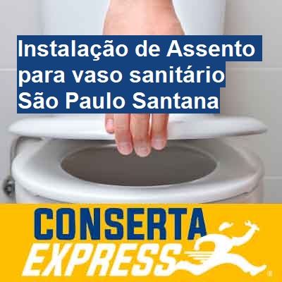 Instalação de Assento para vaso sanitário-em-são-paulo-santana