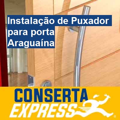 Instalação de Puxador para porta-em-araguaína