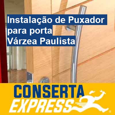 Instalação de Puxador para porta-em-várzea-paulista