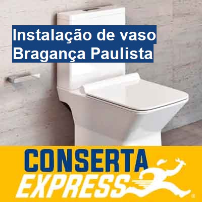 Instalação de vaso-em-bragança-paulista