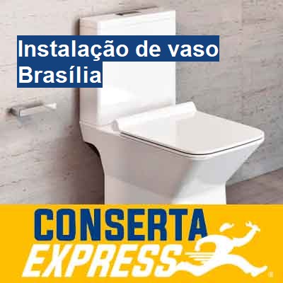 Instalação de vaso-em-brasília