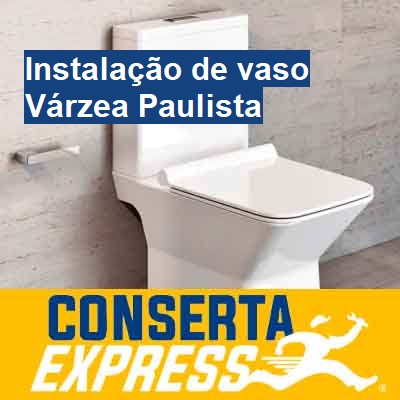 Instalação de vaso-em-várzea-paulista