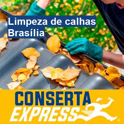 Limpeza de calhas-em-brasília
