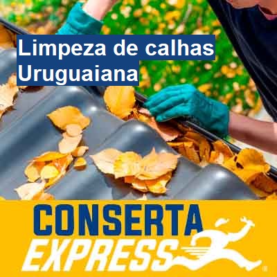 Limpeza de calhas-em-uruguaiana