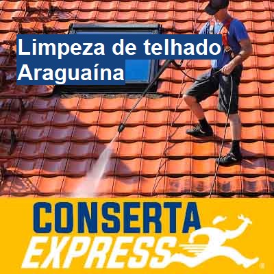 Limpeza de telhado-em-araguaína