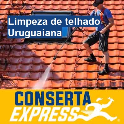 Limpeza de telhado-em-uruguaiana