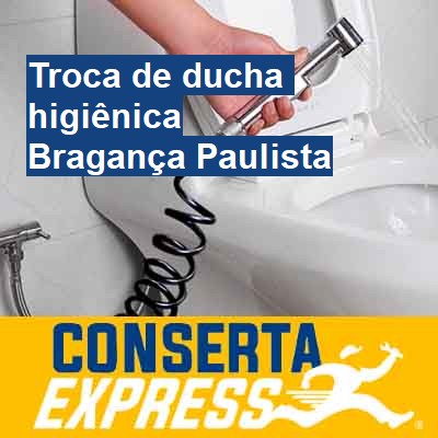 Troca de ducha higiênica-em-bragança-paulista