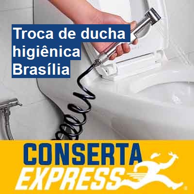 Troca de ducha higiênica-em-brasília