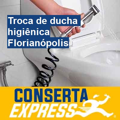 Troca de ducha higiênica-em-florianópolis