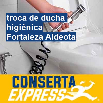 Troca de ducha higiênica-em-fortaleza-aldeota
