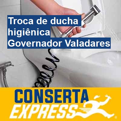 Troca de ducha higiênica-em-governador-valadares