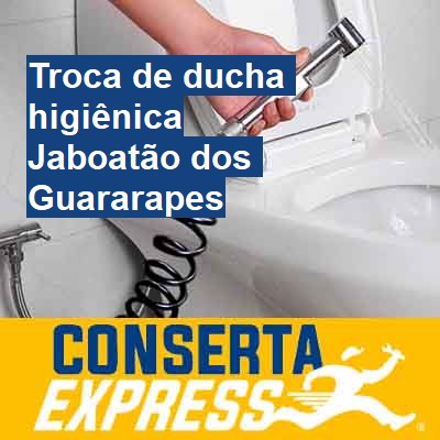 Troca de ducha higiênica-em-jaboatão-dos-guararapes