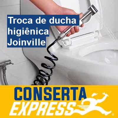 Troca de ducha higiênica-em-joinville