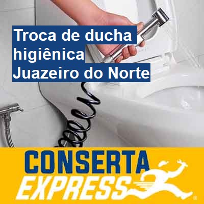 Troca de ducha higiênica-em-juazeiro-do-norte