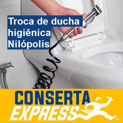 Troca de ducha higiênica-em-nilópolis