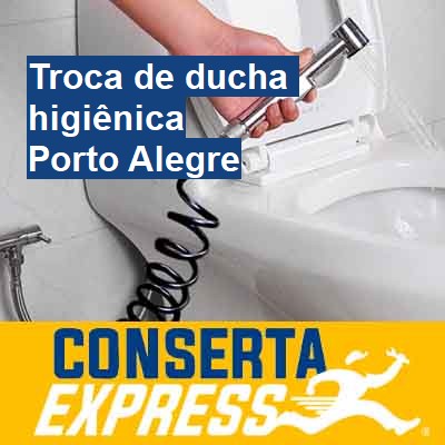 Troca de ducha higiênica-em-porto-alegre