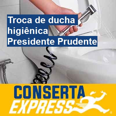 Troca de ducha higiênica-em-presidente-prudente