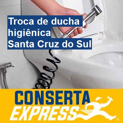 Troca de ducha higiênica-em-santa-cruz-do-sul