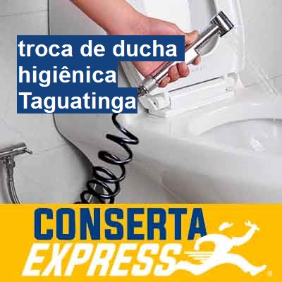 Troca de ducha higiênica-em-taguatinga