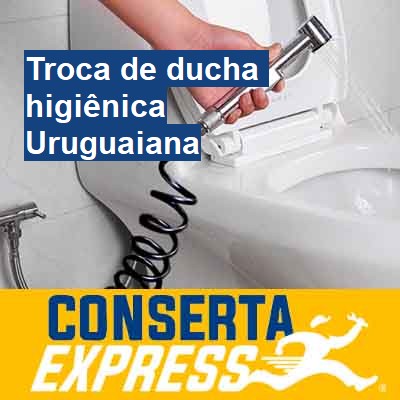 Troca de ducha higiênica-em-uruguaiana