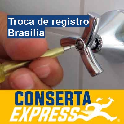 Troca de registro-em-brasília