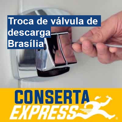 Troca de válvula de descarga-em-brasília