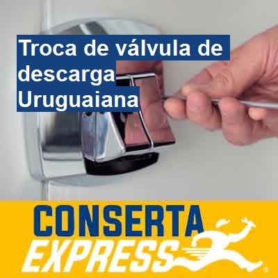 Troca de válvula de descarga-em-uruguaiana