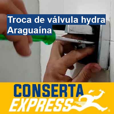 Troca de válvula hydra-em-araguaína