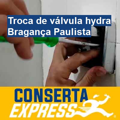 Troca de válvula hydra-em-bragança-paulista