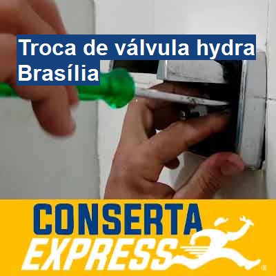 Troca de válvula hydra-em-brasília